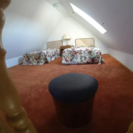 Zoldhaz Bio Panzio Gyenesdias