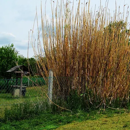 Guest house Zoldhaz Bio Panzio Gyenesdias