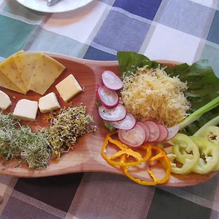 Zoldhaz Bio Panzio Guest house