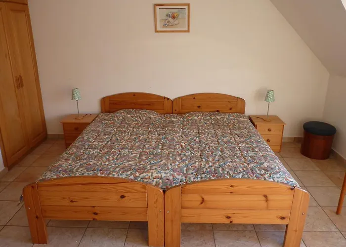 Zoldhaz Bio Panzio גיינסדיאס