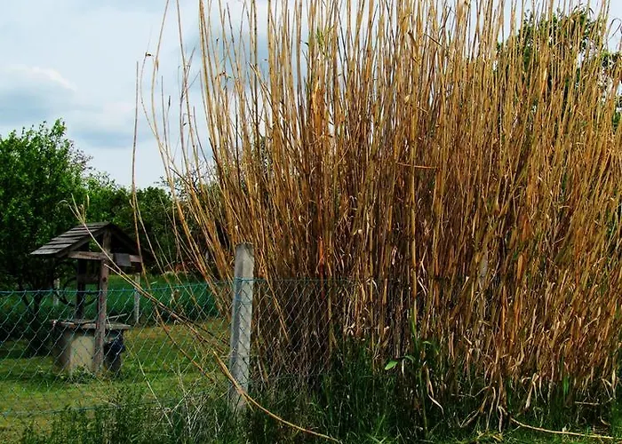 בית הארחה Zoldhaz Bio Panzio גיינסדיאס